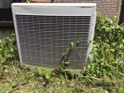 エアコンの室外機に雑草が蔓延れば電気代が嵩んでしまう