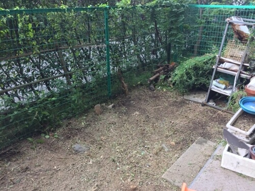 大阪での生い茂った庭の雑草駆除　トリプルエス