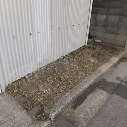 除草によりスッキリした東大阪の建物